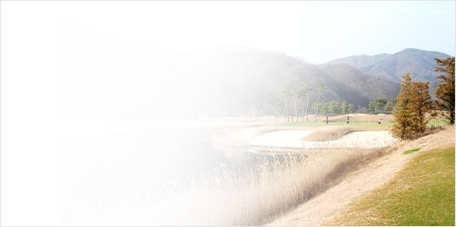 ��õ����